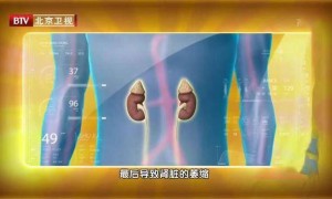9.9包邮手机壳铅含量超标30倍 一招识别→